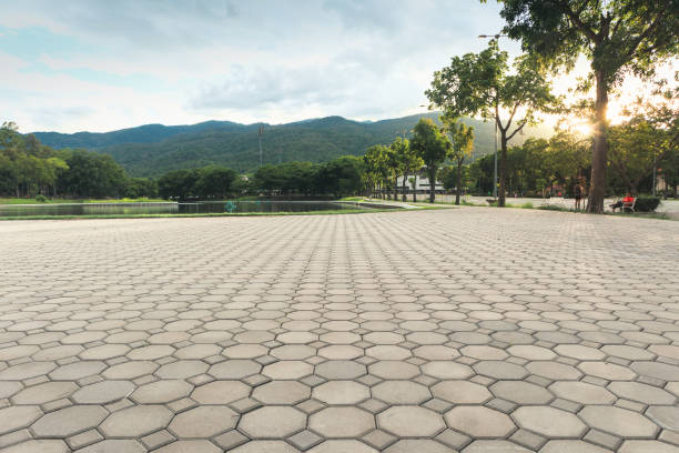 Best Concrete Paver Driveway  in Ramseur, NC